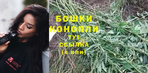 стафф Магадан