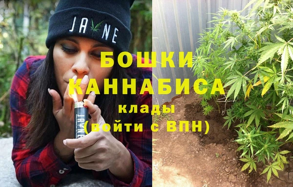 стафф Магадан