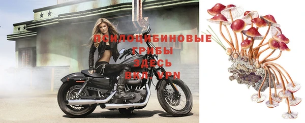трава Магас
