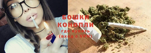 трава Магас