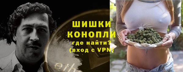тгк Майский