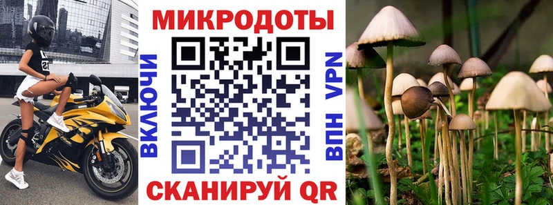 Псилоцибиновые грибы Psilocybe  мега ссылка  Называевск 